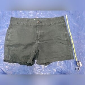 Brand Khakis by Gap shorts